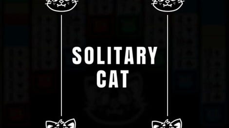 Solitary Cat