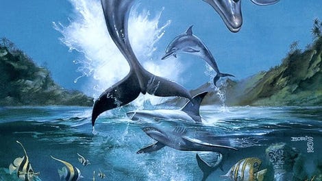 Ecco the Dolphin