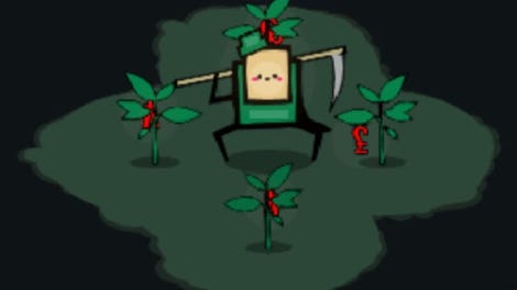 Does Money Grow on Trees