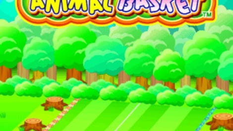 Animal Basket