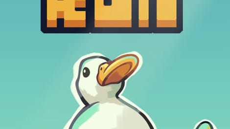 Duck Run