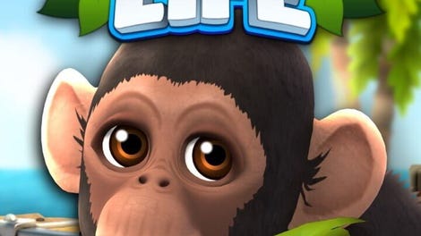 Zoo Life
