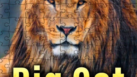 Big Cat Jigsaw Quest