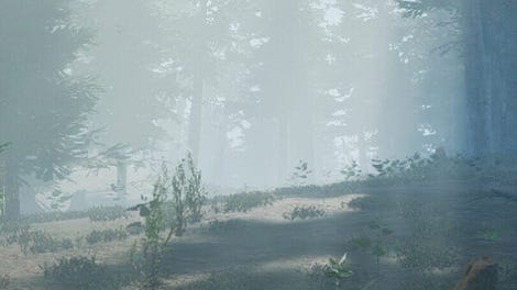 Mushroom Picker Simulator