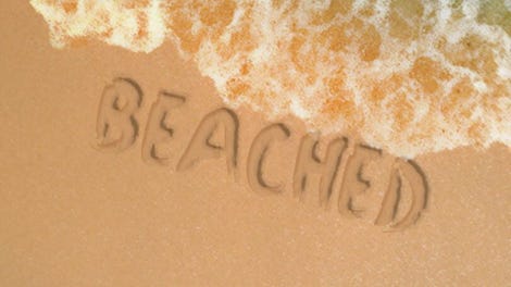 Beached