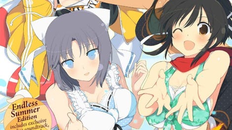 Senran Kagura: Estival Versus - Endless Summer Edition