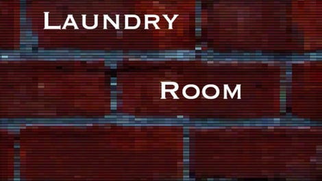 Laundry Room Dilemma