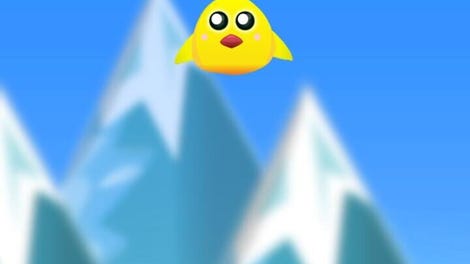 Young Bird Endless Flight