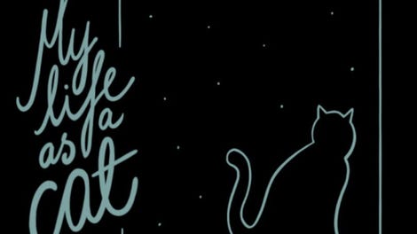 My Life as a Cat