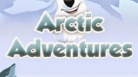 Arctic Adventures