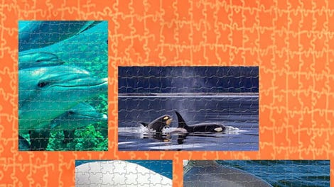 Pixel Puzzles Ultimate: Dolphins