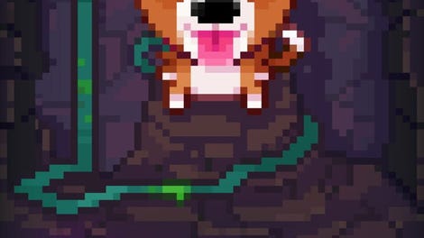 Fidel: Dungeon Rescue