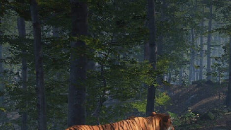Big Cat Rescue VR