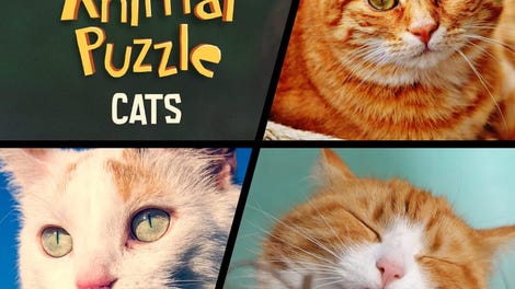 Animal Puzzle Cats