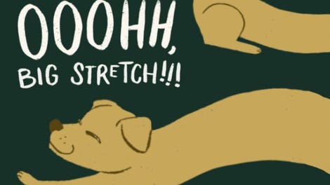 Ooohh, Big Stretch!!!