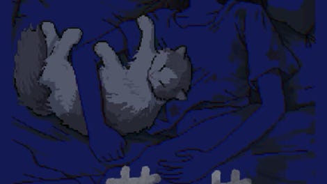 Cat's Dream