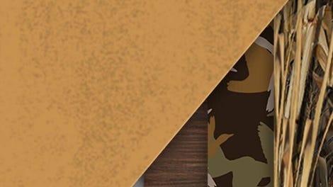 TheHunter: Call of the Wild - Revontuli Coast Cosmetic Pack