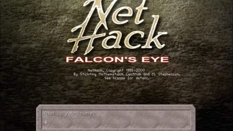 Nethack: Falcon's Eye - Kotaku