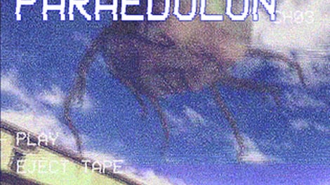 Paraedolon