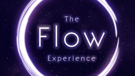The Flow Experience