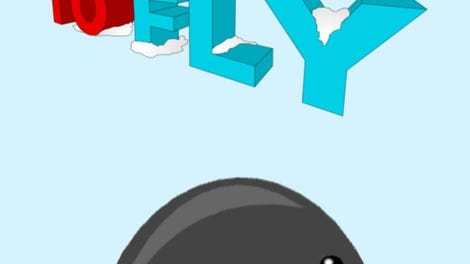 Learn to Fly