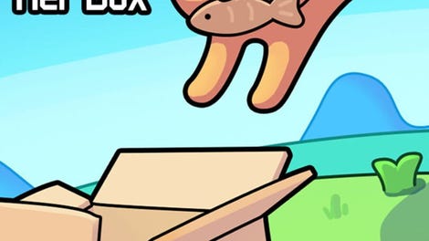 Kitten Lost Her Box