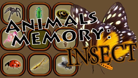 Animals Memory: Insect
