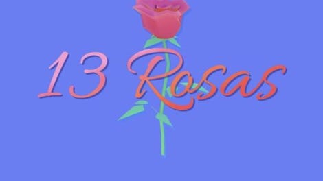 13 Rosas