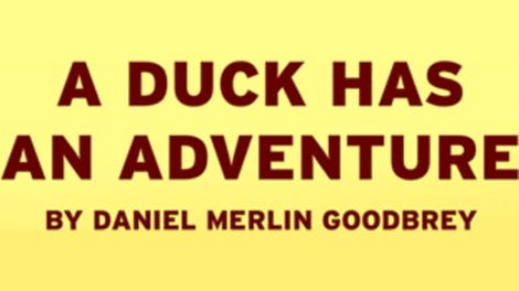 A Duck Has An Adventure