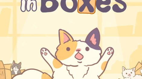 Cats in Boxes