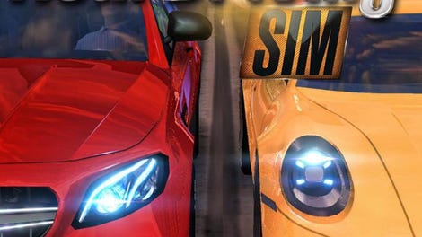 Real Driving Sim