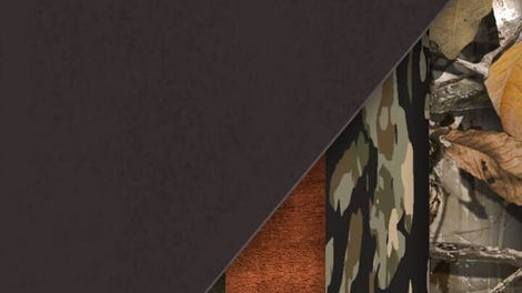 TheHunter: Call of the Wild - Hirschfelden Veteran Cosmetic Pack