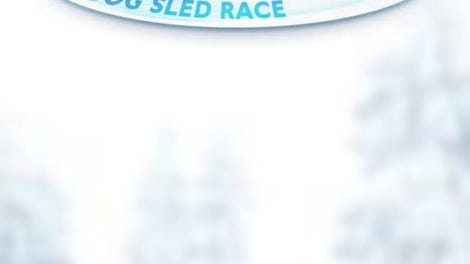 Snow Buddies: Dog Sled Race