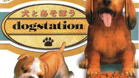 DogStation