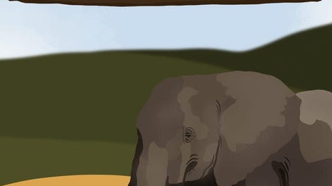 The Elephant E