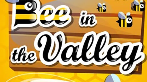 Bee in the Valley