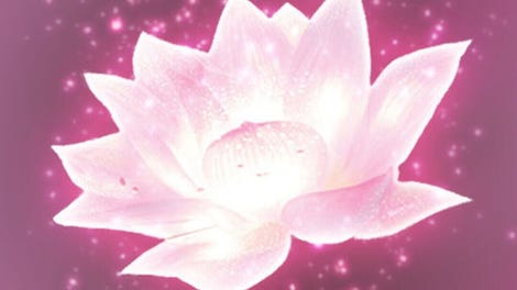 Lotus Digital