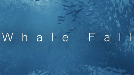 Whale Fall