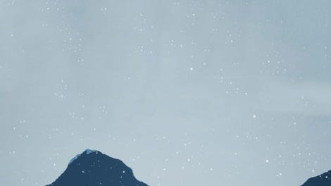 The Last Tree