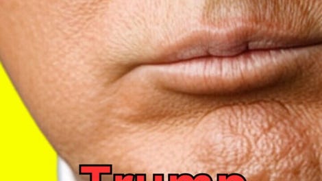 Trump Simulator 2025
