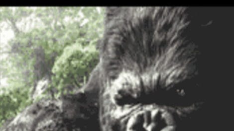King Kong: The Official Mobile Game of the Movie