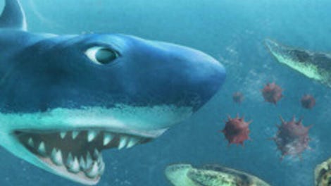 Hungry Shark: Part 2