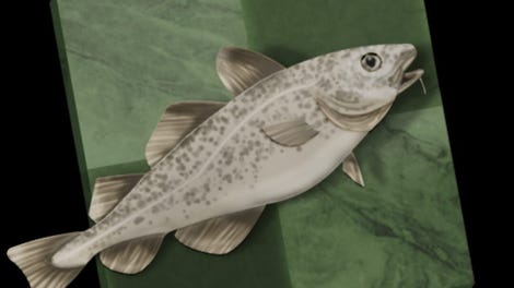 Stockfish Chess