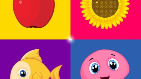 Sorter - Toddler & Baby Educational Learning Games