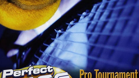 Perfect Ace: Pro Tournament Tennis