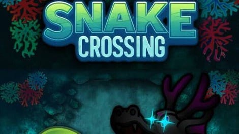 Snake Crossing
