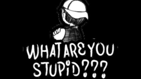 What Are You Stupid