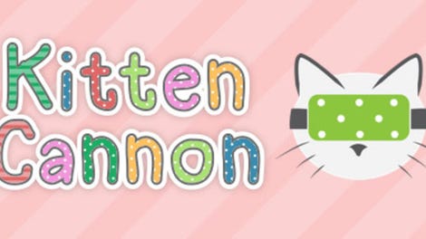 Kitten Cannon