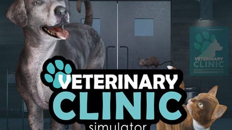 Veterinary Clinic Simulator