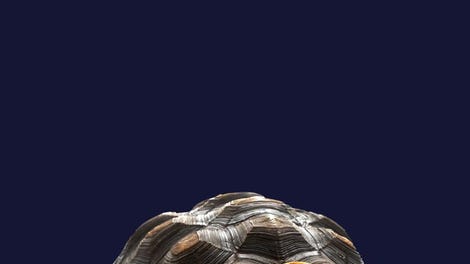Stroke the Tortoise